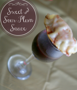 Sweet & Sour Plum Sauce
