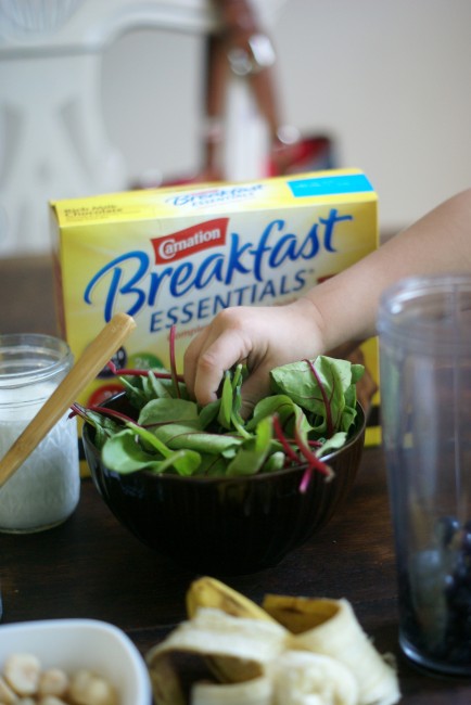 Carnation Breakfast Essentials Smoothie Recipe #BreakfastEssentials #PMedia #ad