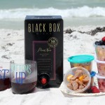 Packable Picnic Party For the Beach